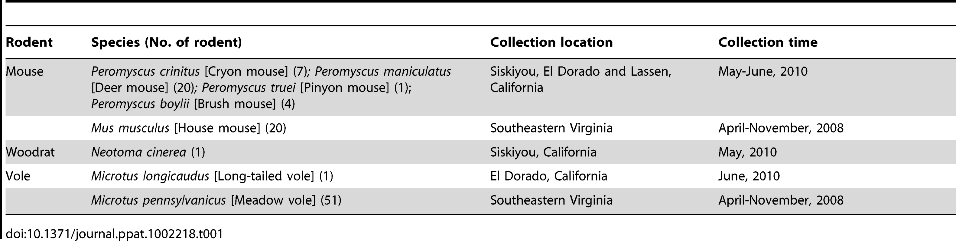 Summary of rodent sample information.