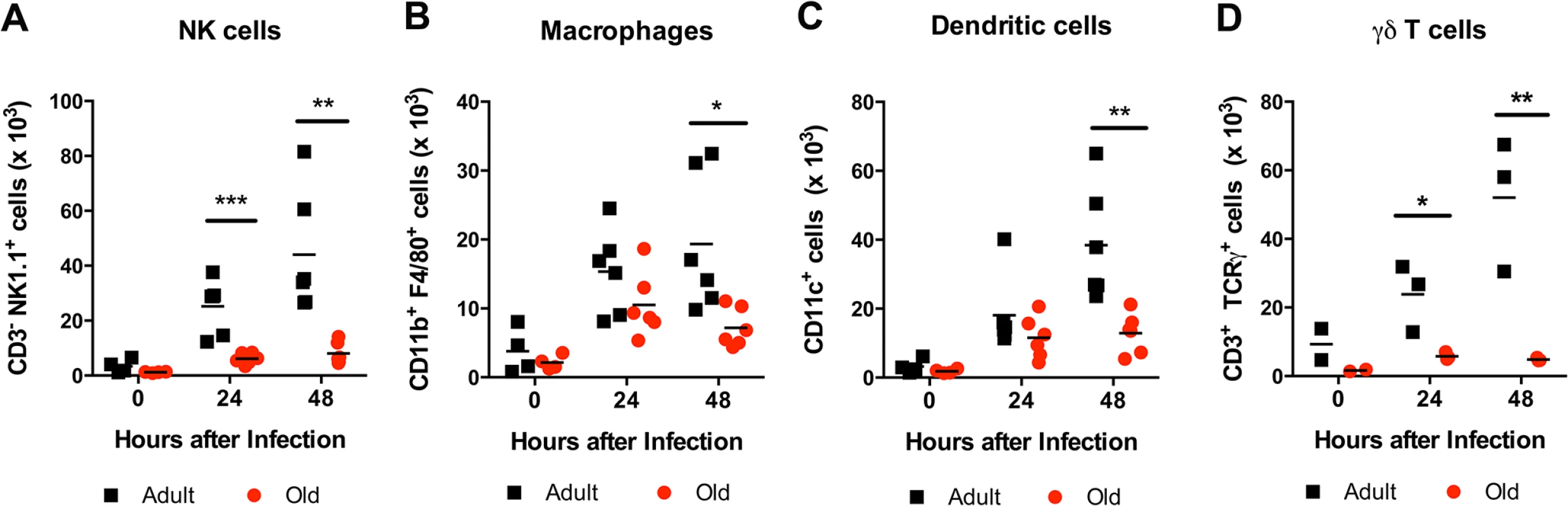 Leukocyte infiltration in the DLN of WNV-infected adult and old mice.