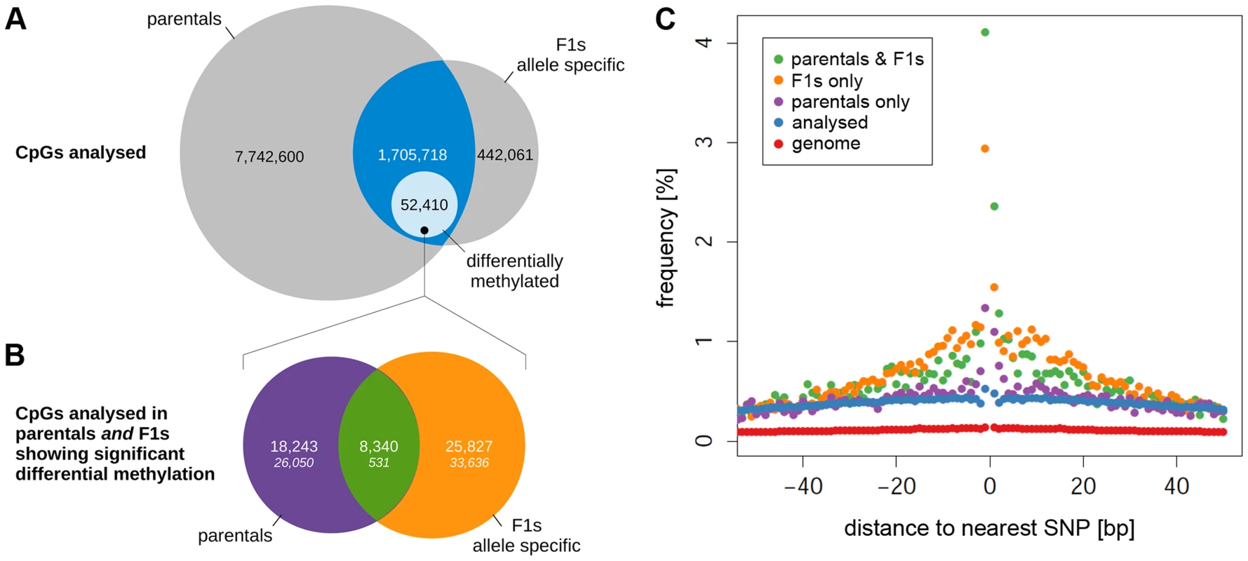 Comparison of differential methylation in parental strains and allele-specific methylation in F1 crosses.