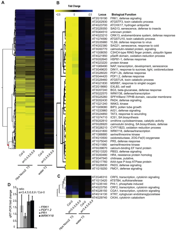 Type-A ARRs negatively regulate SA–dependent gene expression.