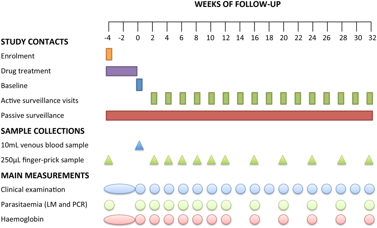 Study design and follow-up schedule.