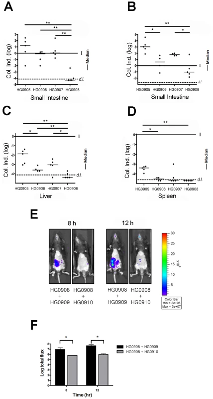 Dynamics of bacterial colonization and dissemination.
