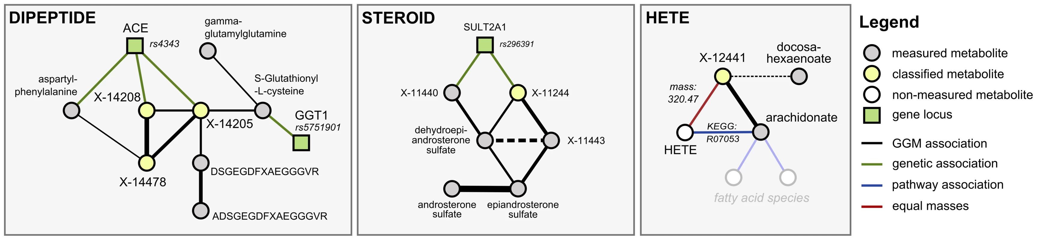 Detailed investigation of three scenarios (DIPEPTIDE, STEROID, and HETE).