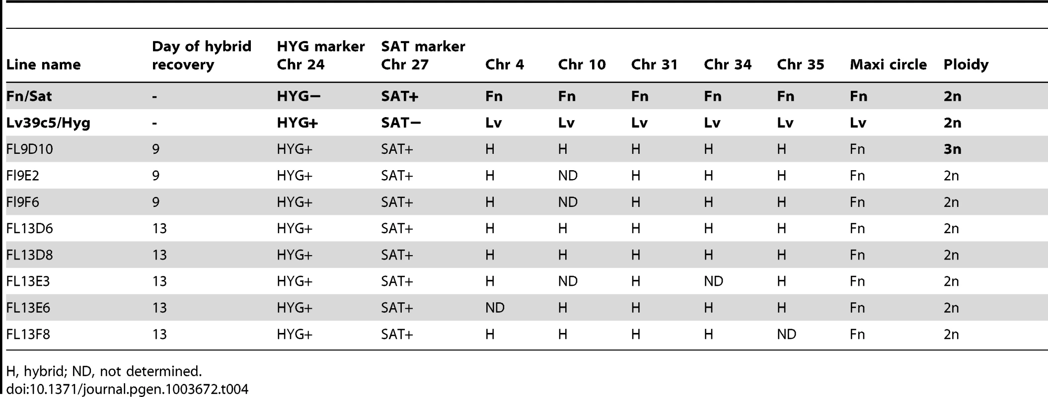 Summary of Fn/Sat×LV39c5/Hyg hybrid genotypes generated in <i>P. duboscqi</i>.