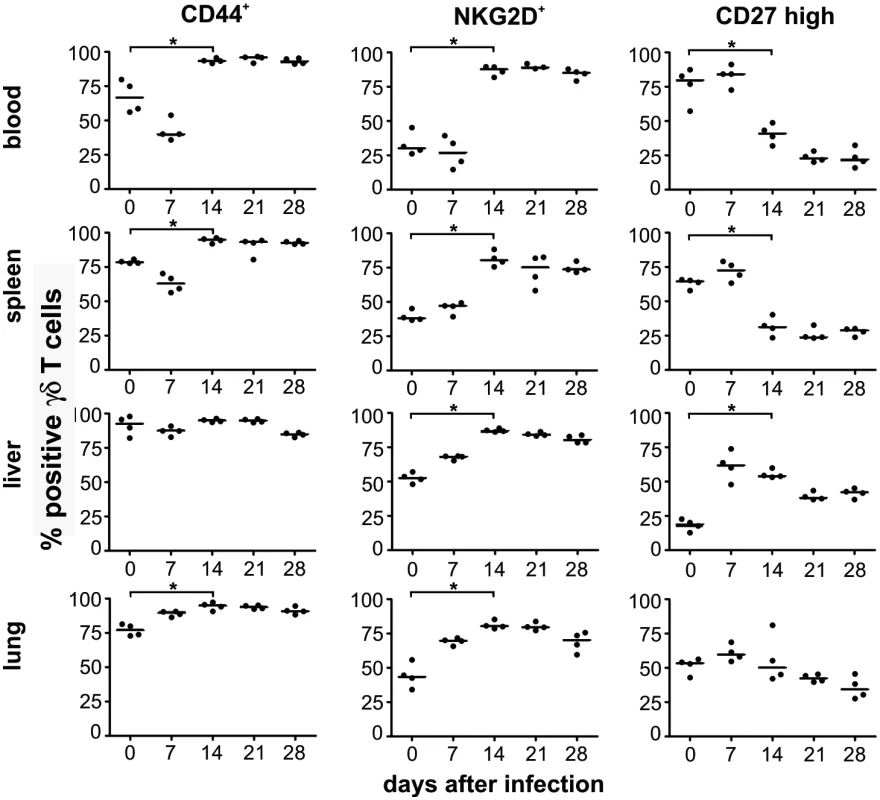 Phenotypical changes of γδ T cells after infection.