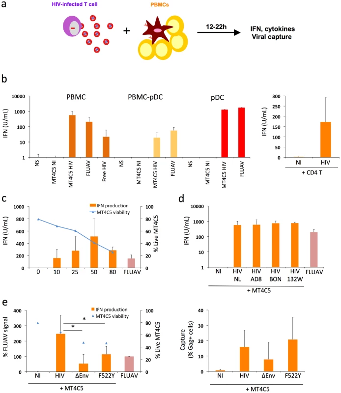 Sensing of HIV-infected lymphocytes by hematopoïetic cells.