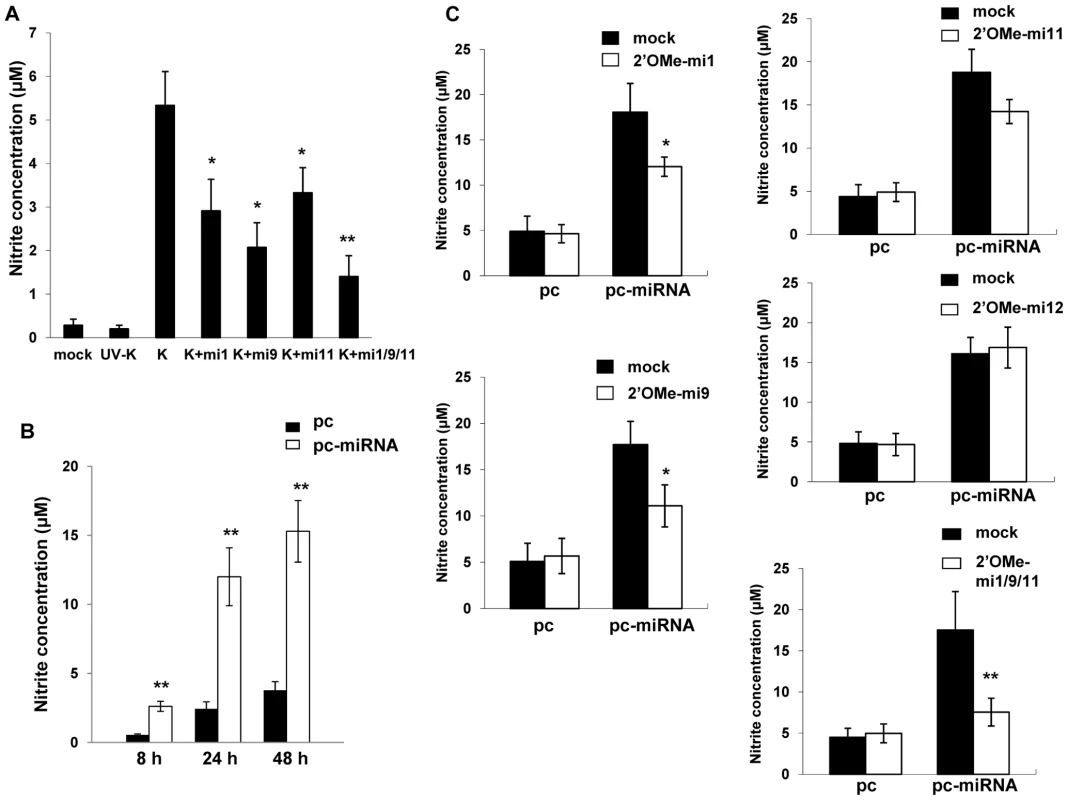 KSHV miRNAs induce reactive nitrogen species (RNS) secretion by macrophages.