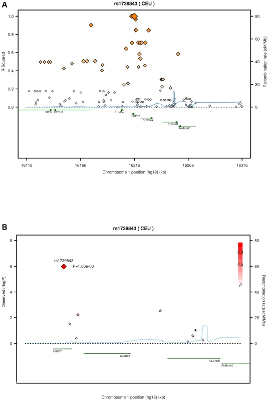 Linkage disequilibrium (LD) structure of <i>HSPB7</i> genomic region and association results.