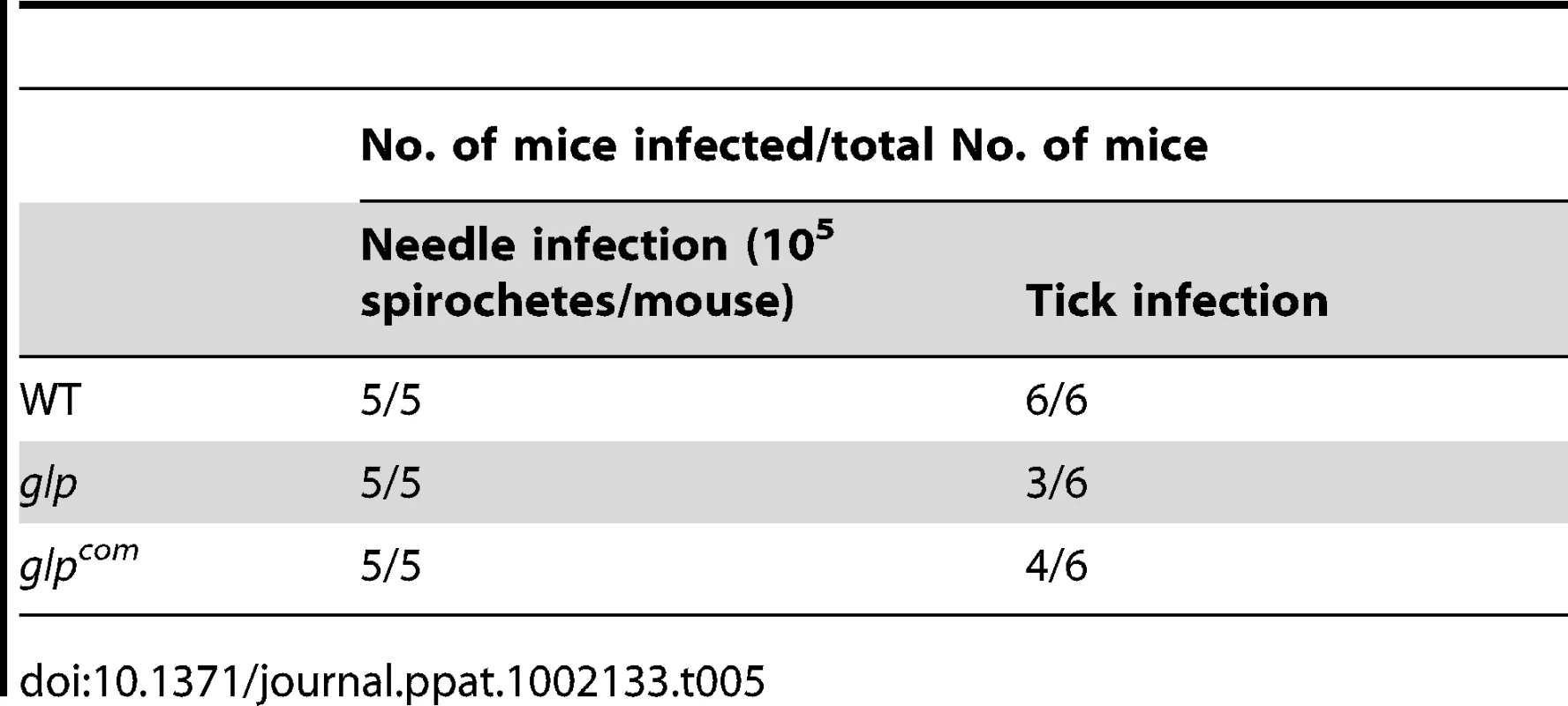 Mouse infectivity of the <i>glp</i> mutant.