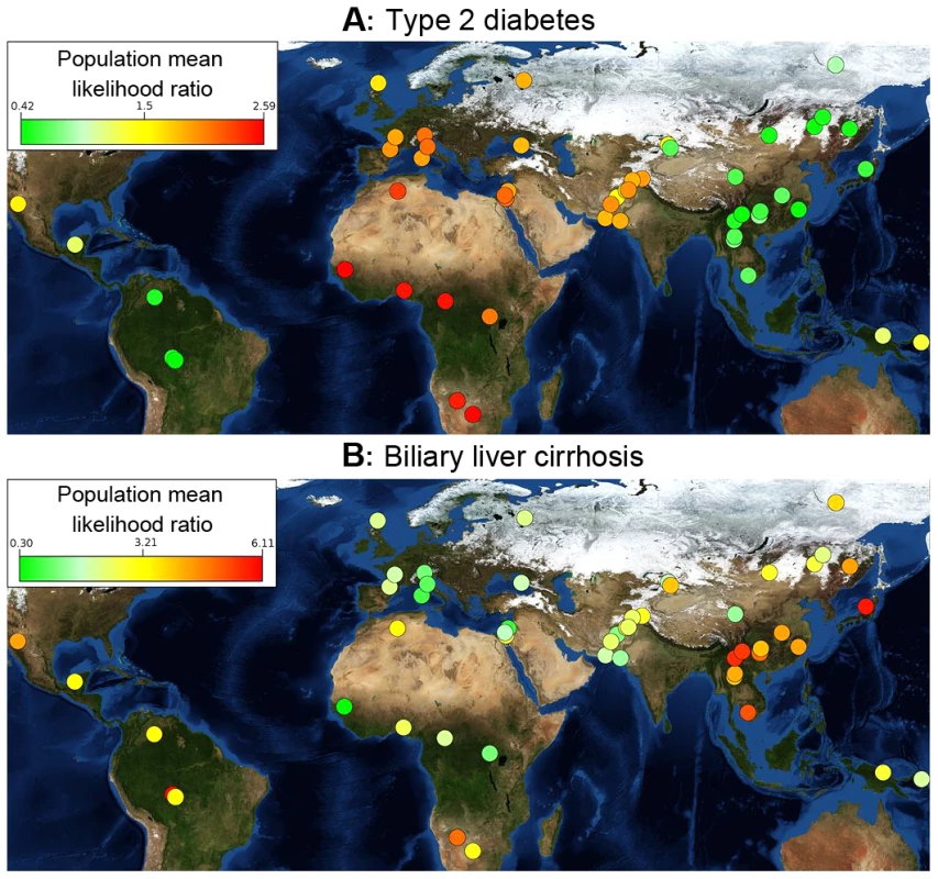 Differences in genetic risk among populations.