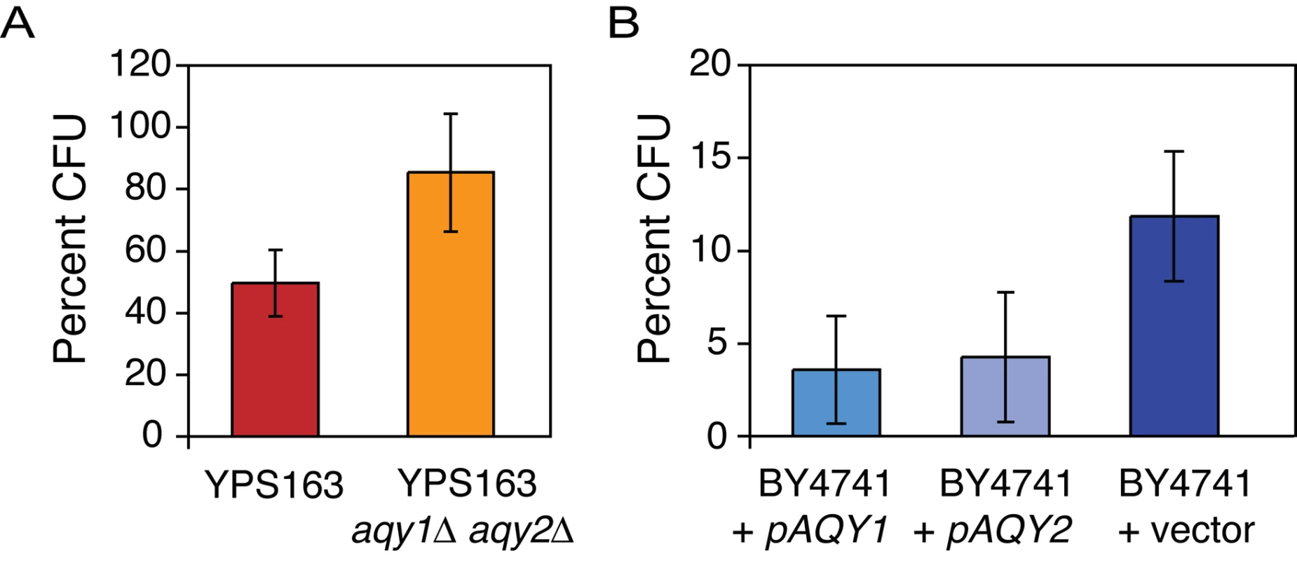 Strains lacking AQY genes show a fitness advantage under high osmolarity.