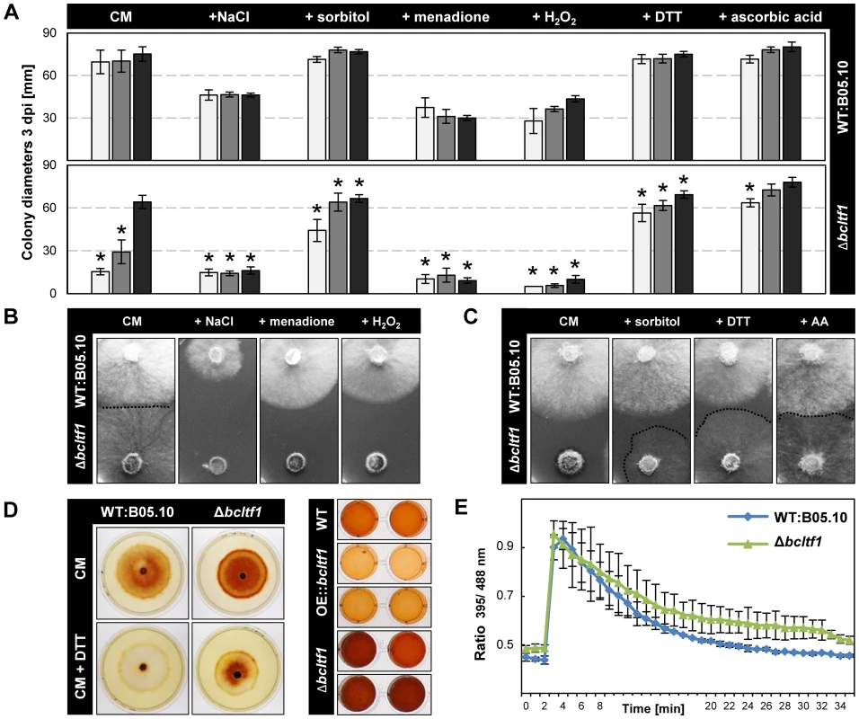 BcLTF1 is needed to cope with oxidative stress and regulates the generation of ROS.