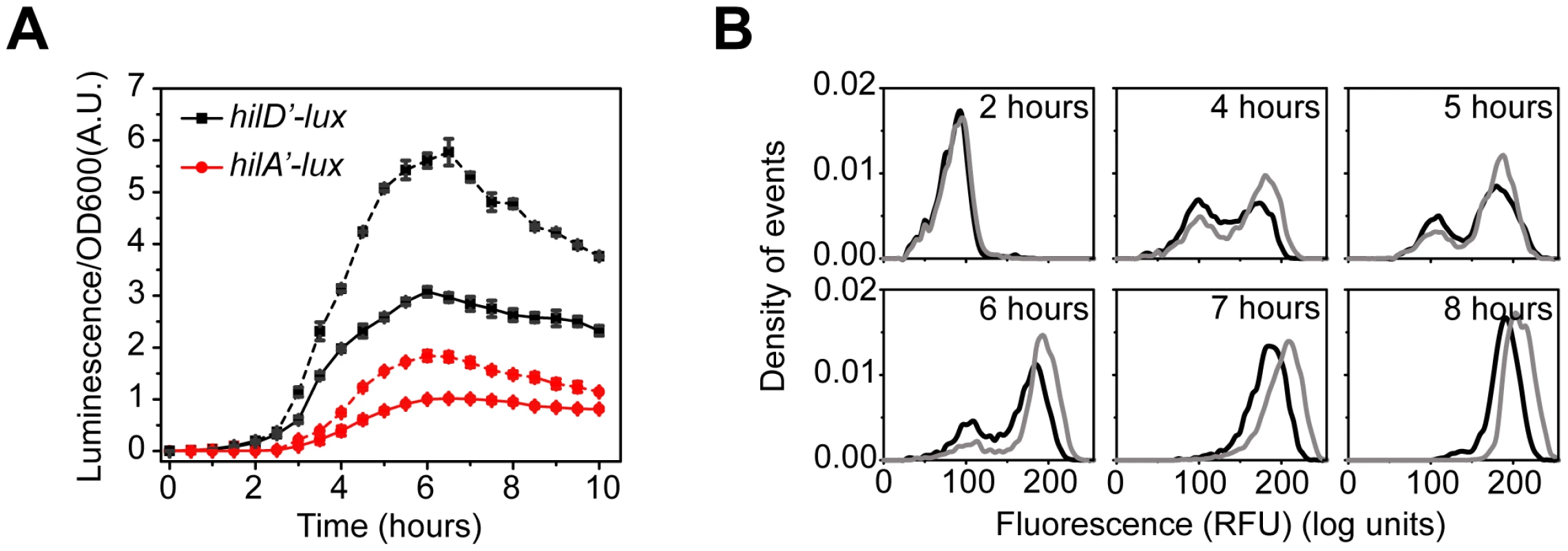 HilE dampens SPI1 gene expression.