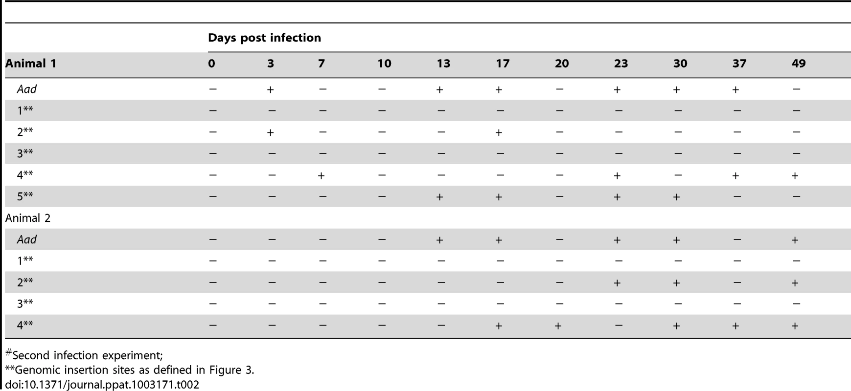Nested PCR verification of the <i>E. chaffeensis</i> infection status and for the transposon insertion sites assessed in deer blood DNA<em class="ref">#</em>.