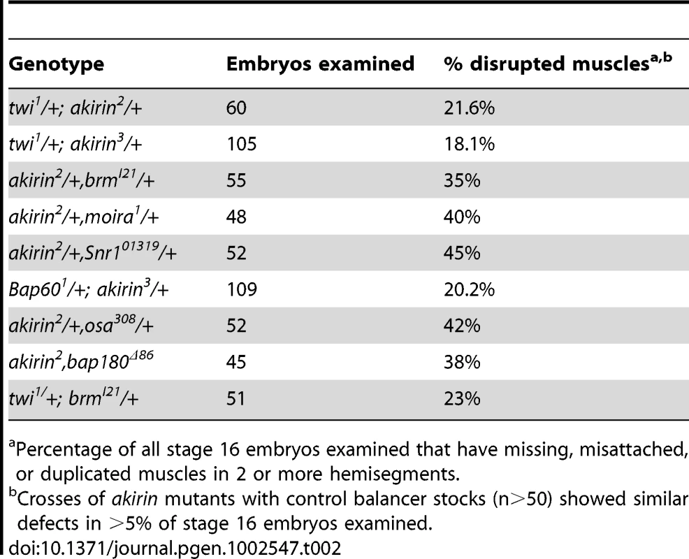Genetic interactions between <i>akirin</i> and BRM complex subunit genes.