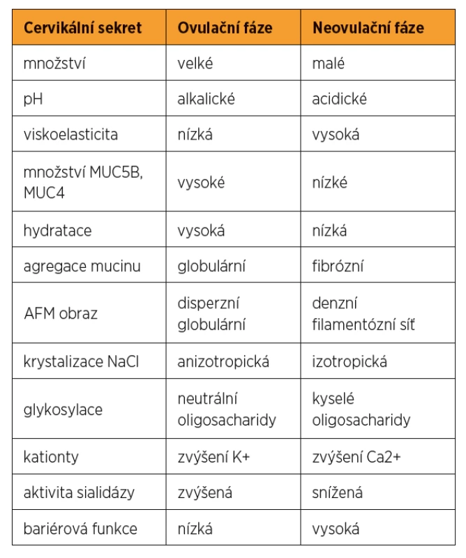 Změny cervikálního sekretu v průběhu menstruačního cyklu