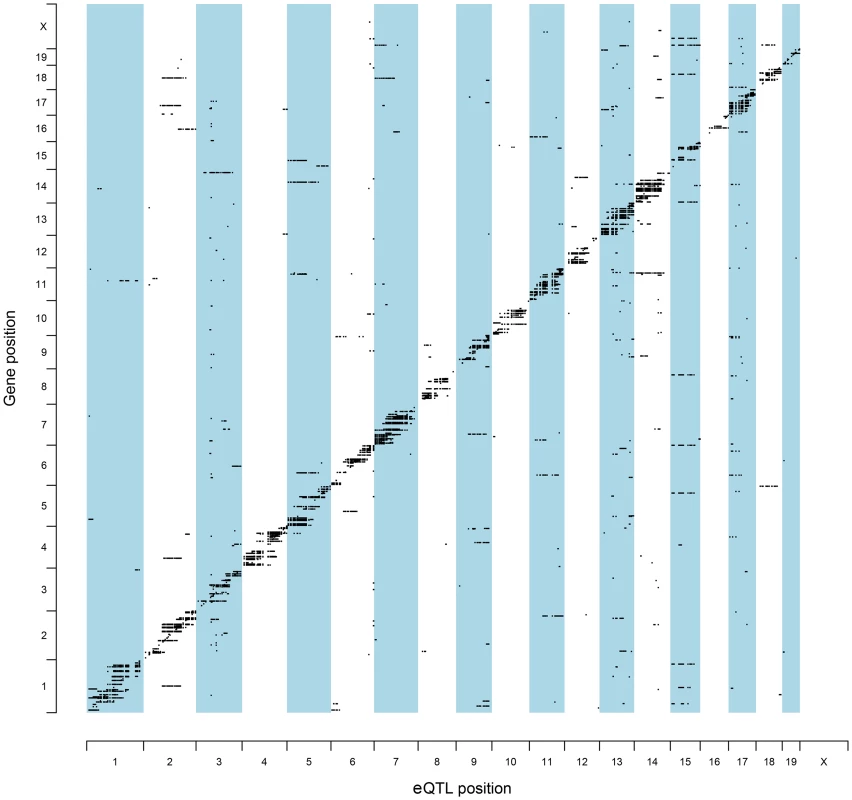 Genomic locations of eQTLs relative to their cognate transcript.