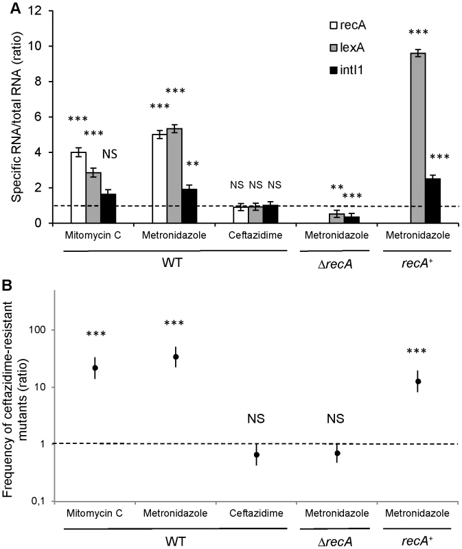 Metronidazole increases the emergence of ceftazidime-resistant mutants by inducing the SOS response.