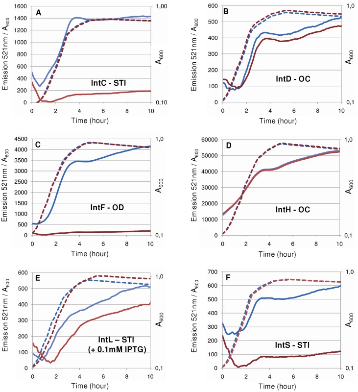 Regulatory patterns of various <i>E. coli</i> integrase promoters.