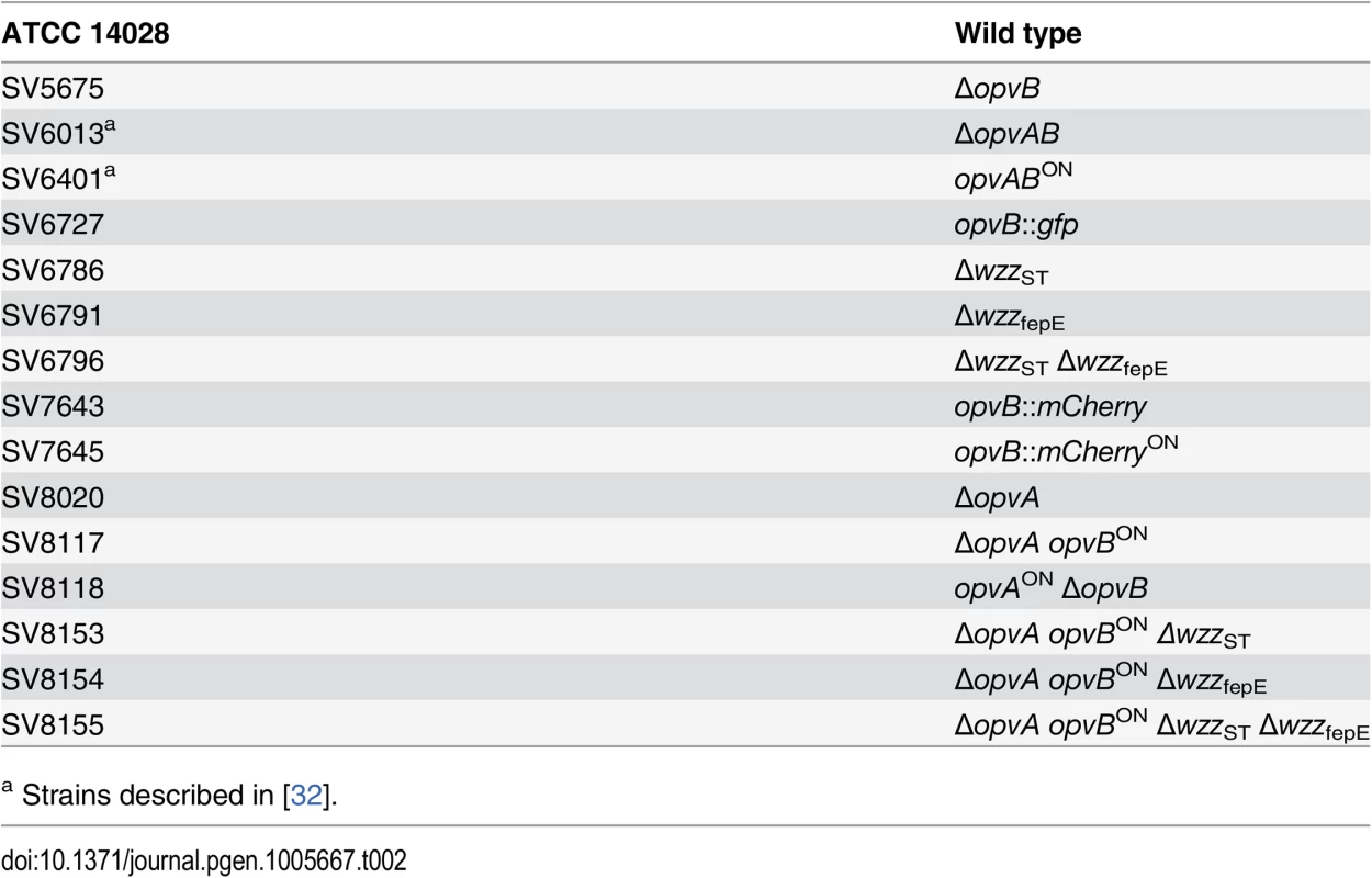 Strain list.