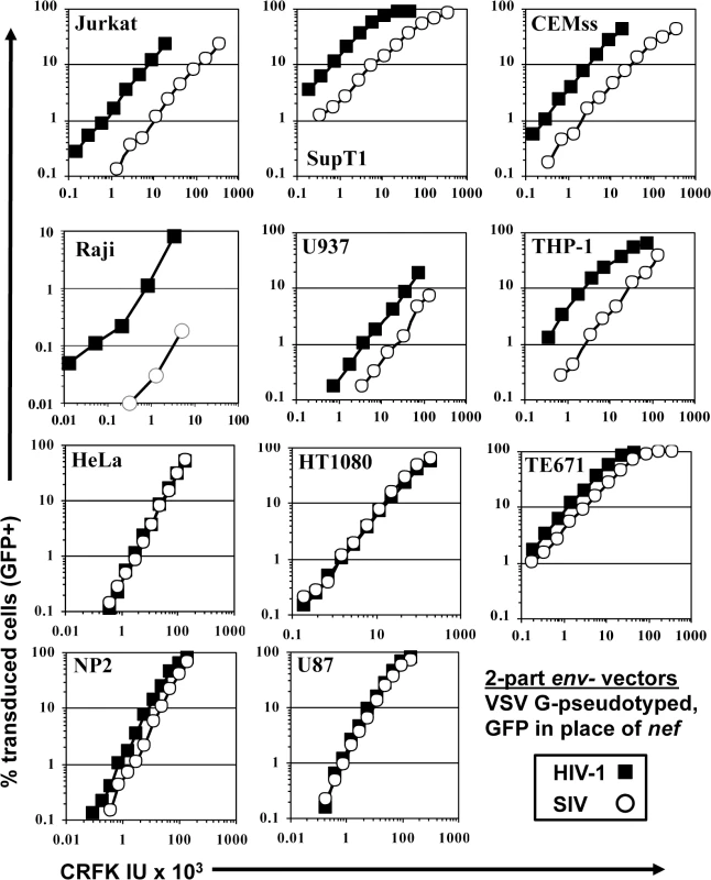 SIV<sub>MAC</sub> transduction of human blood-derived cell lines is less efficient than is transduction by HIV-1.