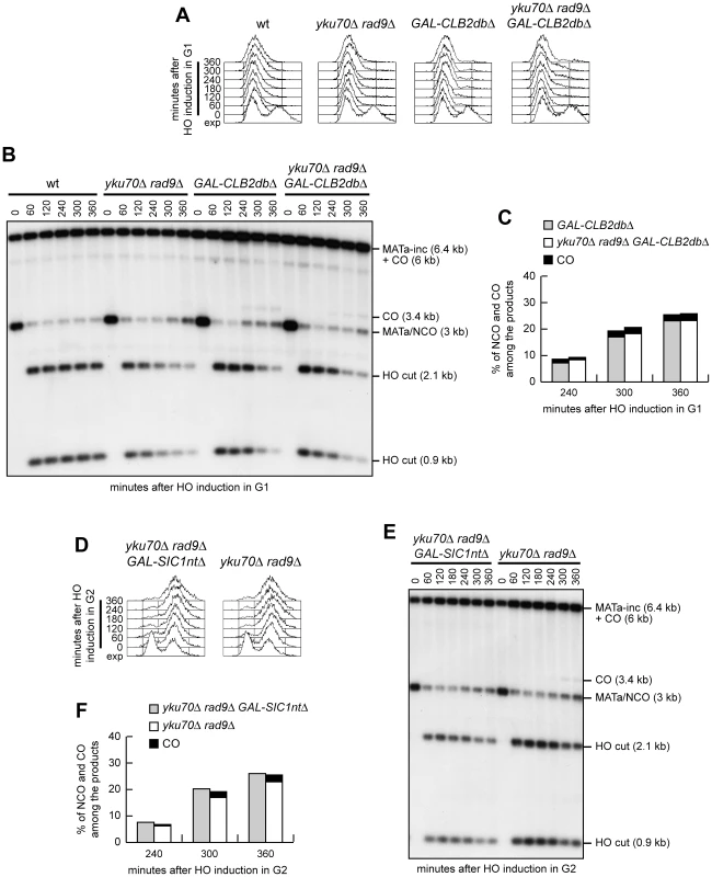 Ectopic Cdk1 activation allows crossovers in G1, whereas Cdk1 inhibition prevents crossover in G2.