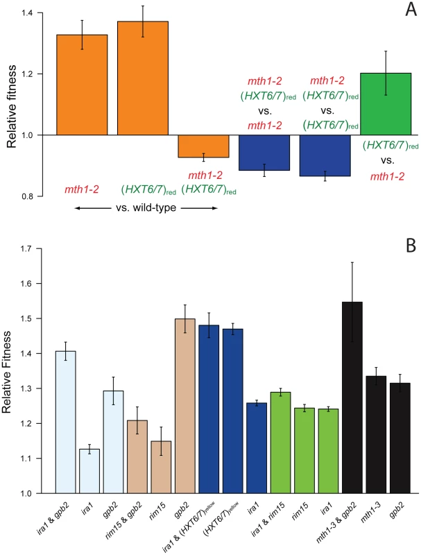 Competition experiments to test for epistasis between singly adaptive mutations.