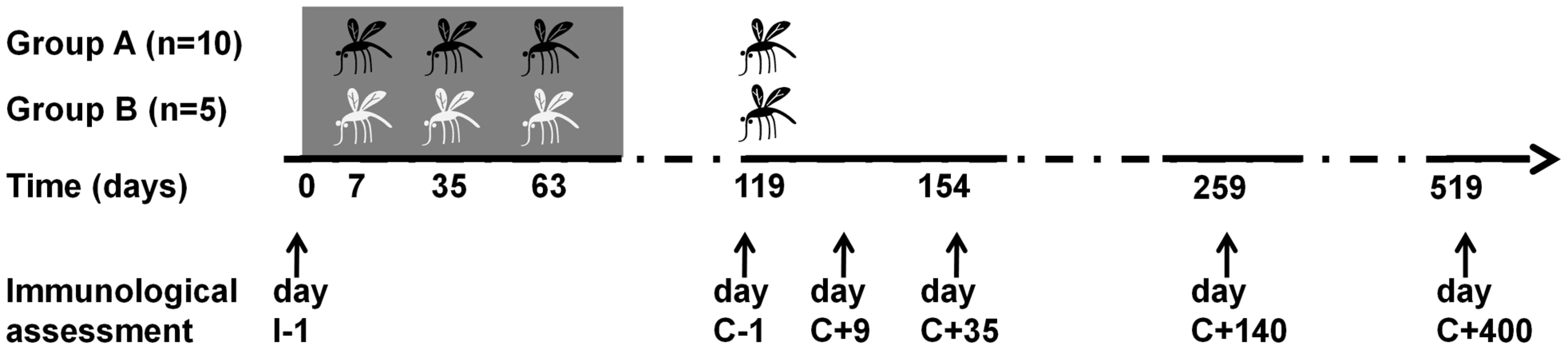 Flowchart of Experimental Human Malaria Infection study.