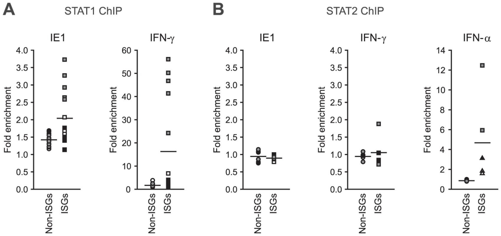 IE1 increases STAT1 occupancy at ISG promoters.