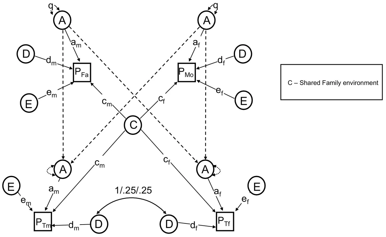 The reduced nuclear twin family design, with assortative mating modeled as social homogamy.
