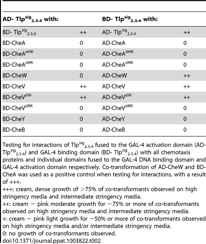 Analysis of protein interactions with Tlp<sup>sig</sup><sub>2.3.4</sub> using the yeast two-hybrid system.