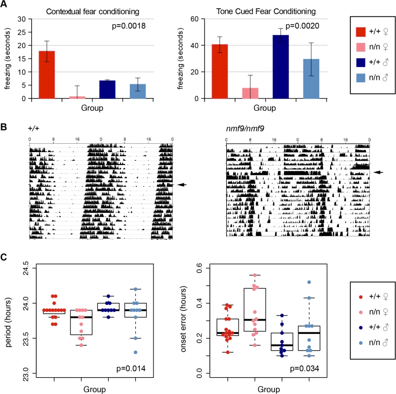 <i>Nmf9</i> is important to fear learning and circadian rhythm.