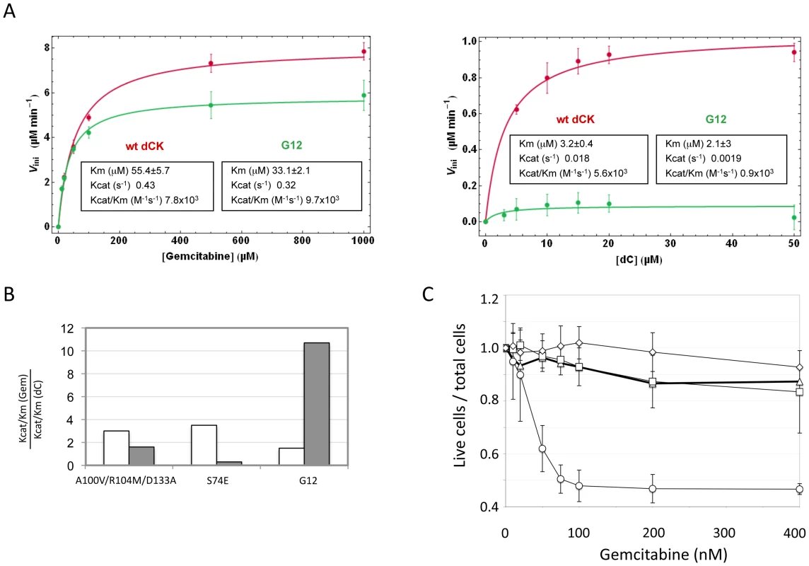 Biochemical characterization of G12.