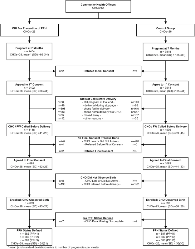 CONSORT flow diagram.