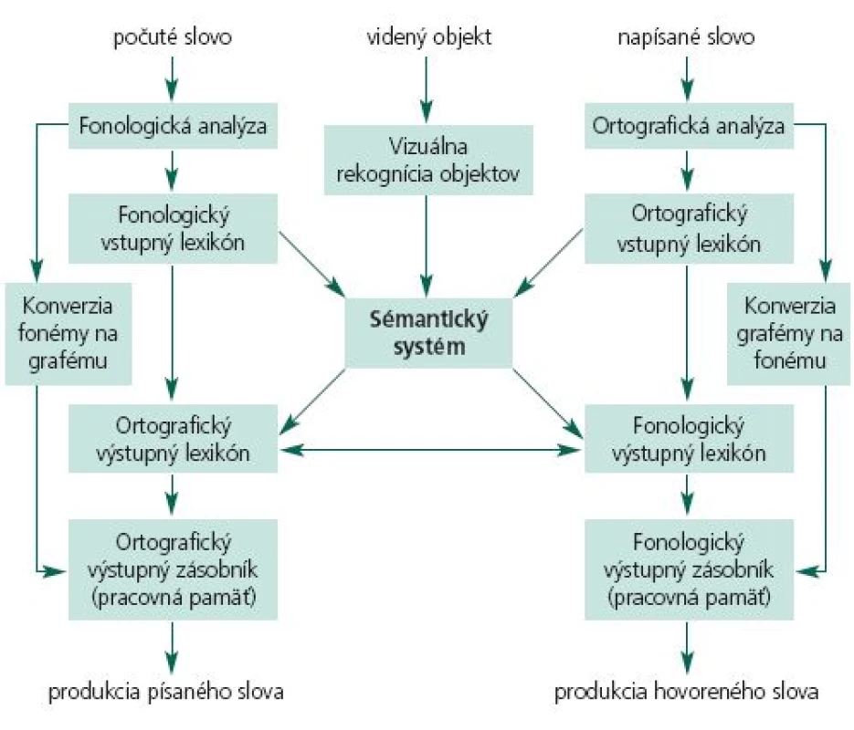 Kognitívno-neuropsychologický model jazykových procesov.