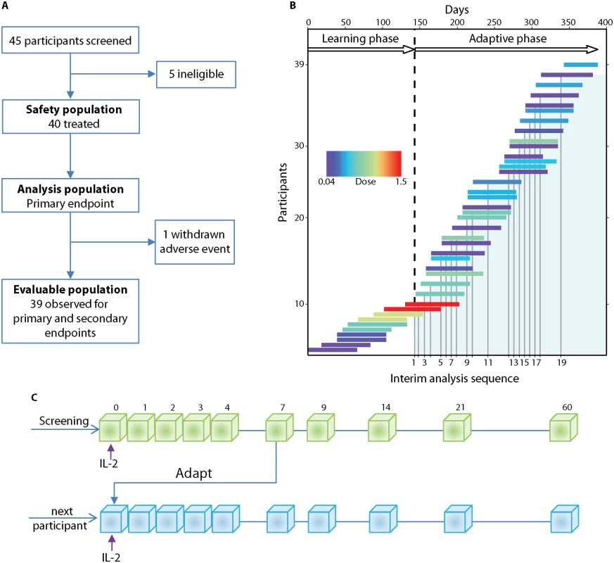 DILT1D study profile and adaptive design.