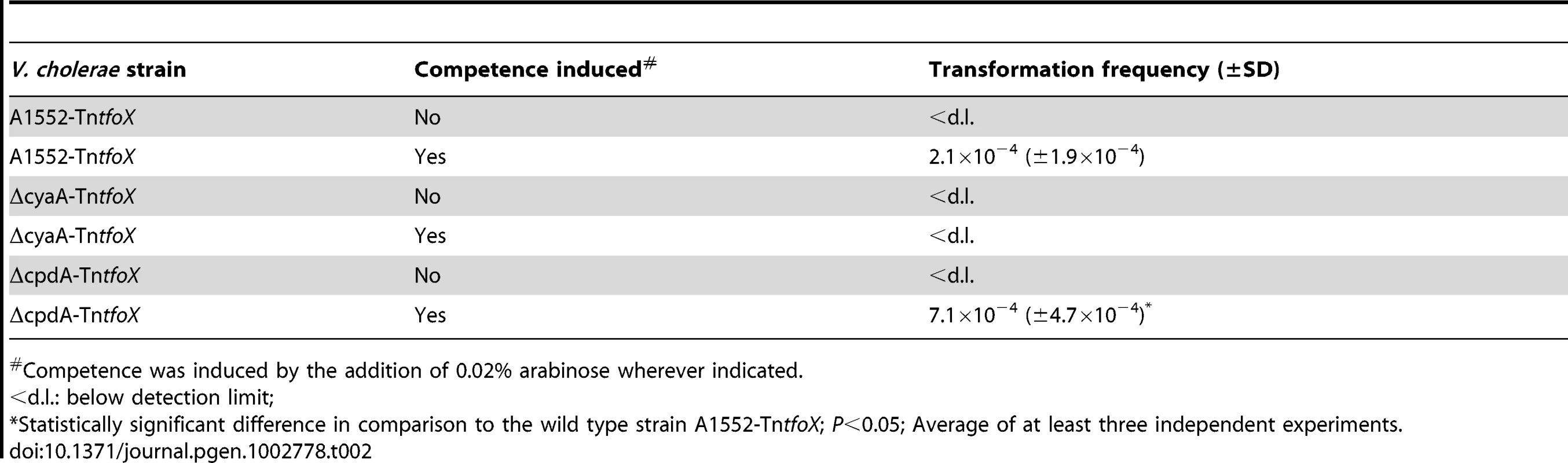 Natural transformation is dependent on cAMP, which is produced by adenylate cyclase (CyaA) and degraded by cAMP-degrading phosphodiesterase (CpdA).