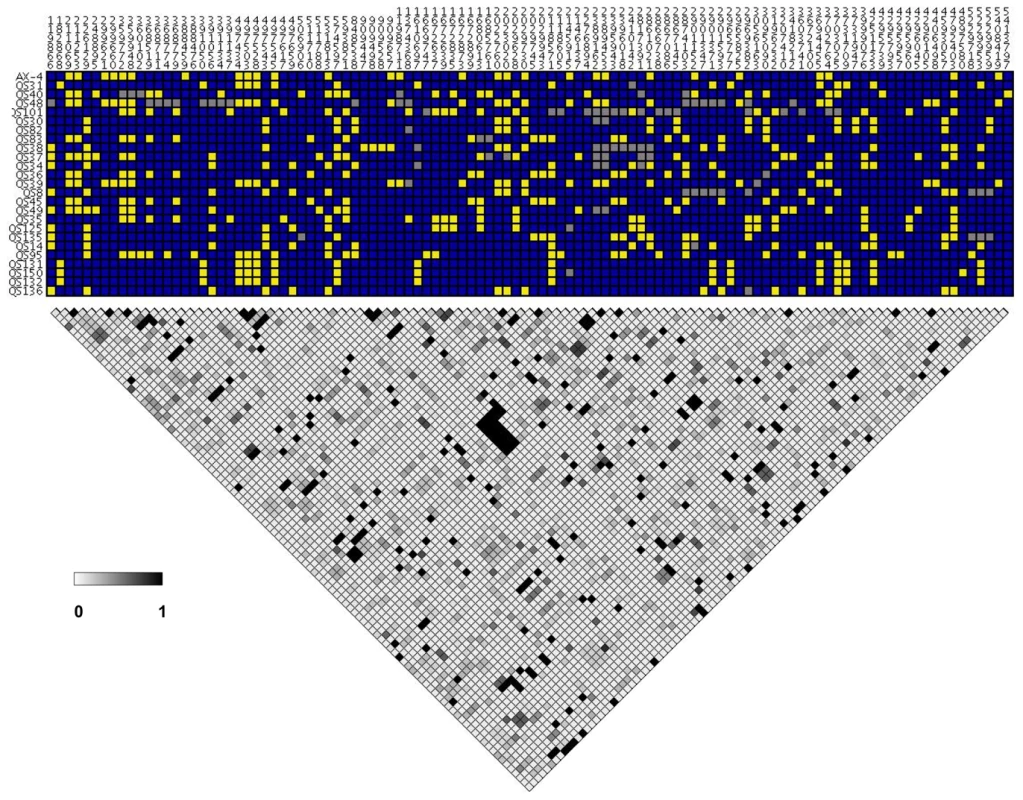 Pairwise linkage disequilibrium in chromosome 4.