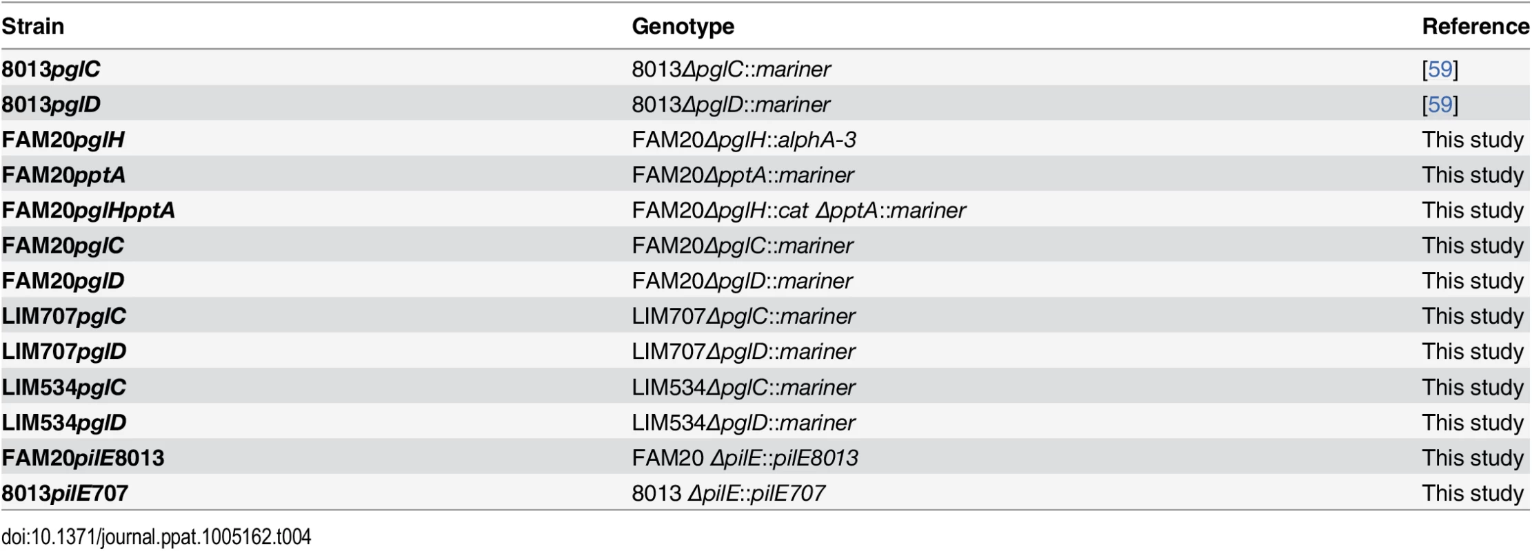 Genetically modified strains used in this study.