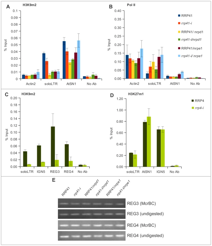 The effect of the exosome subunits depletion on the levels of H3K9me2 in different loci.