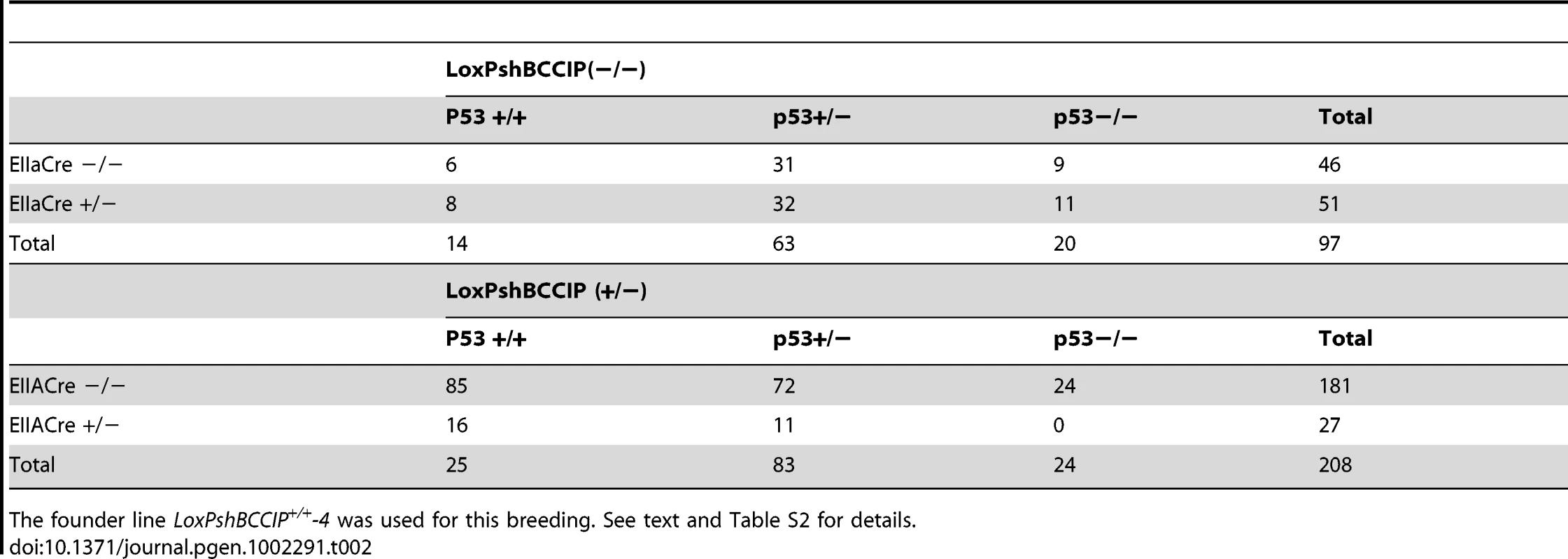 Number of viable newborns resulting from crossing LoxPshBCCIP with EIIaCre with or without p53 deletion.