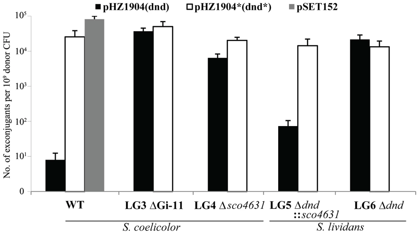 Restriction of plasmids expressing the <i>dndA-E</i> gene cluster by <i>Streptomyces</i> strains containing <i>sco4631</i>.