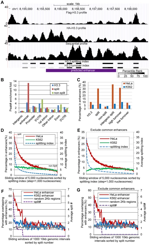 H3.3 nucleosome splitting events feature cell-type specific enhancers.