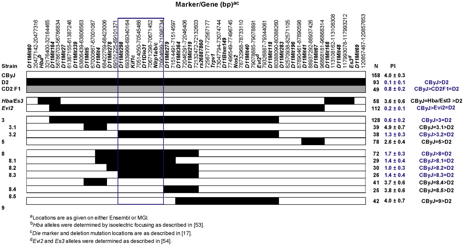 Congenic mapping places <i>Orch3</i> within the <i>Kif1c/Nlrp1a/b/c</i> interval.