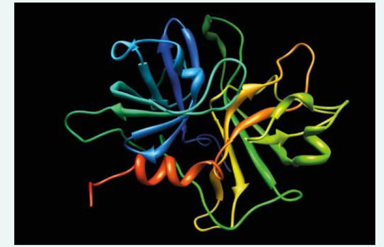 Priestorová štruktúra faktora XII, pdb.4XDE [2]