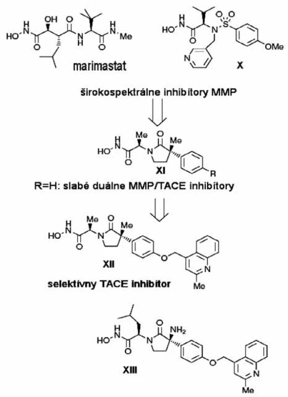 Projektovanie selektívnych inhibítorov TACE <sup>3)</sup>