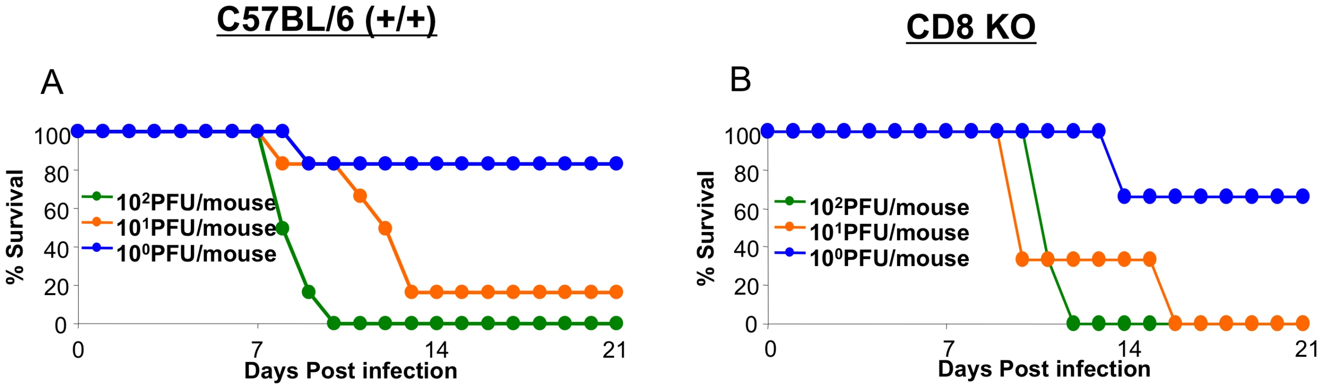 Effect of CD8 T cell deficiency on survival of mice infected with H5N1 viruses.