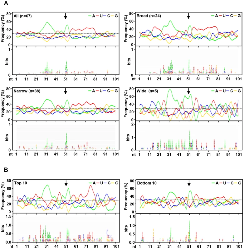 A sequence landscape surrounding KSHV pA sites.