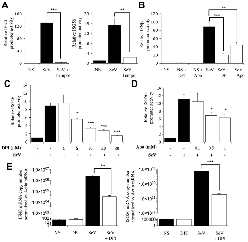 NADPH oxidase-derived ROS are required for SeV-induced <i>IFNβ</i> and <i>IFIT1</i> genes regulation.
