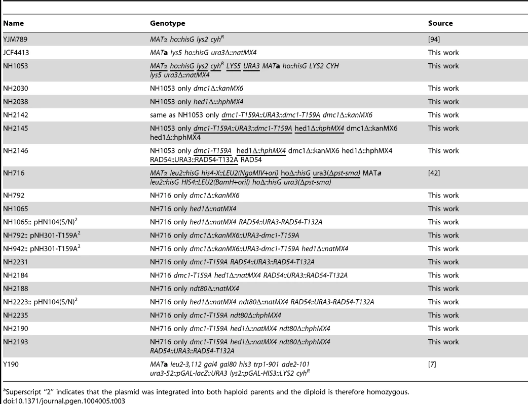 <i>S. cerevisiae</i> strains<em class="ref">a</em>.